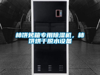 知識(shí)百科柿餅烤箱專用除濕機(jī)，柿餅烘干脫水設(shè)備