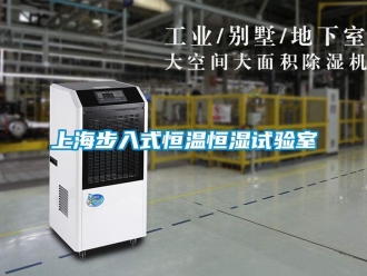 知識(shí)百科上海步入式恒溫恒濕試驗(yàn)室