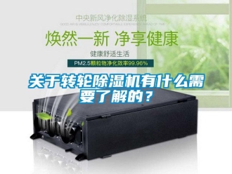 行業(yè)新聞關(guān)于轉(zhuǎn)輪除濕機(jī)有什么需要了解的？