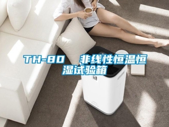 常見問題TH-80  非線性恒溫恒濕試驗箱