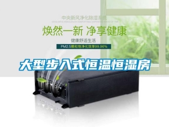 知識百科大型步入式恒溫恒濕房
