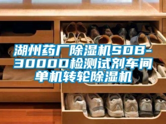 常見問(wèn)題湖州藥廠除濕機(jī)SDB-3000D檢測(cè)試劑車間單機(jī)轉(zhuǎn)輪除濕機(jī)