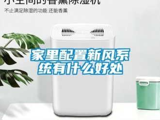 行業(yè)新聞家里配置新風系統(tǒng)有什么好處
