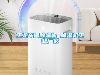企業(yè)新聞工業(yè)車間除濕機(jī) 除濕機(jī)工業(yè)廠家