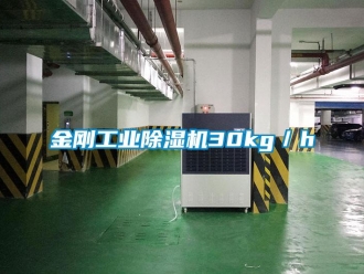 行業(yè)新聞金剛工業(yè)除濕機(jī)30kg／h