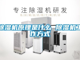 行業(yè)新聞除濕機(jī)原理是什么 除濕機(jī)工作方式