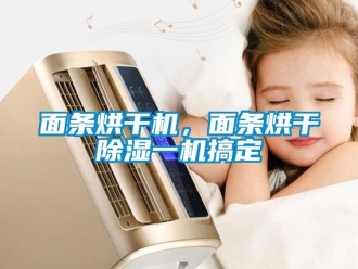行業(yè)新聞面條烘干機(jī)，面條烘干除濕一機(jī)搞定