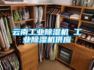 常見問題云南工業(yè)除濕機(jī) 工業(yè)除濕機(jī)供應(yīng)