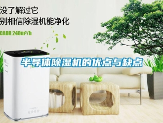 常見(jiàn)問(wèn)題半導(dǎo)體除濕機(jī)的優(yōu)點(diǎn)與缺點(diǎn)