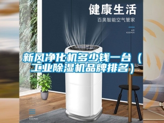 常見問題新風(fēng)凈化機(jī)多少錢一臺（工業(yè)除濕機(jī)品牌排名）