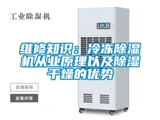 行業(yè)新聞維修知識(shí)：冷凍除濕機(jī)從業(yè)原理以及除濕干燥的優(yōu)勢(shì)