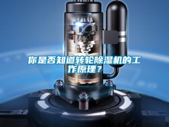 常見問題你是否知道轉(zhuǎn)輪除濕機的工作原理？
