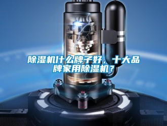 企業(yè)新聞除濕機(jī)什么牌子好，十大品牌家用除濕機(jī)？