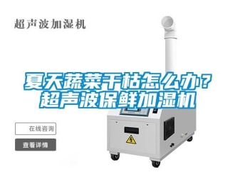 常見問題夏天蔬菜干枯怎么辦？超聲波保鮮加濕機(jī)