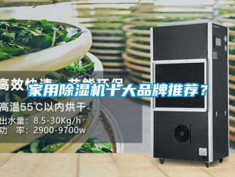 企業(yè)新聞家用除濕機十大品牌推薦？