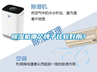 行業(yè)新聞除濕機(jī)哪個(gè)牌子比較好用？