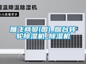 常見(jiàn)問(wèn)題雁飛商貿(mào)(圖)_煙臺(tái)轉(zhuǎn)輪除濕機(jī)_除濕機(jī)