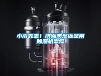 知識百科小雨霏霏！防潮防濕還是用除濕機(jī)靠譜