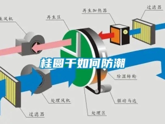 常見(jiàn)問(wèn)題桂圓干如何防潮