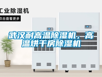 行業(yè)新聞武漢耐高溫除濕機(jī)，高溫烘干房除濕機(jī)
