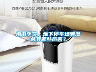 行業(yè)新聞梅雨季節(jié)，地下停車場(chǎng)潮濕會(huì)有哪些危害？