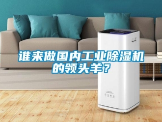 知識(shí)百科誰來做國內(nèi)工業(yè)除濕機(jī)的領(lǐng)頭羊？