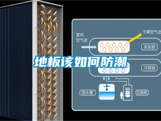 常見問題地板該如何防潮