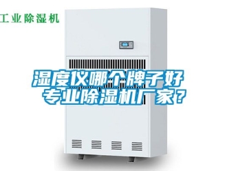企業(yè)新聞濕度儀哪個(gè)牌子好 專業(yè)除濕機(jī)廠家？