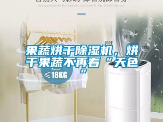 行業(yè)新聞果蔬烘干除濕機(jī)，烘干果蔬不再看“天色”