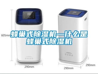 行業(yè)新聞蜂巢式除濕機—什么是蜂巢式除濕機