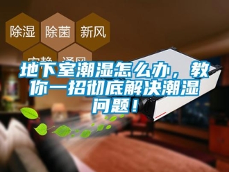 常見問題地下室潮濕怎么辦，教你一招徹底解決潮濕問題！