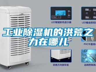 企業(yè)新聞工業(yè)除濕機(jī)的洪荒之力在哪兒