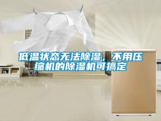 行業(yè)新聞低溫狀態(tài)無法除濕，不用壓縮機的除濕機可搞定