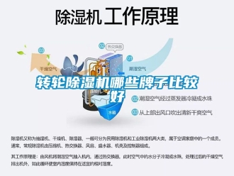 常見問題轉輪除濕機哪些牌子比較好