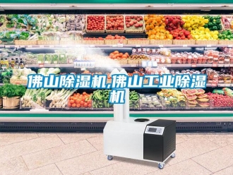 常見問題佛山除濕機,佛山工業(yè)除濕機