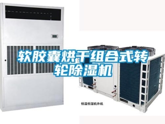 行業(yè)新聞軟膠囊烘干組合式轉(zhuǎn)輪除濕機(jī)