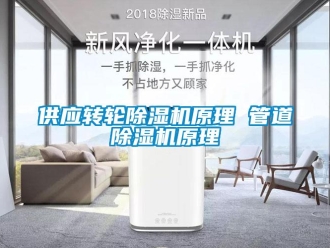 常見問題供應(yīng)轉(zhuǎn)輪除濕機(jī)原理 管道除濕機(jī)原理
