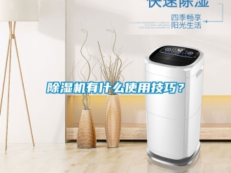 行業(yè)新聞除濕機(jī)有什么使用技巧？