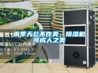 知識百科雨季天公不作美，除濕機(jī)可成人之美
