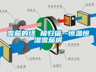 知識(shí)百科雪茄的終 極歸宿--恒溫恒濕雪茄房