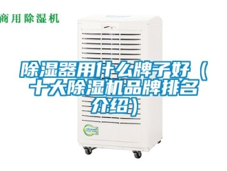 企業(yè)新聞除濕器用什么牌子好（十大除濕機品牌排名介紹）