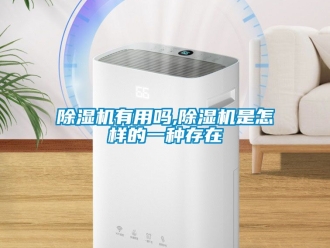 行業(yè)新聞除濕機(jī)有用嗎,除濕機(jī)是怎樣的一種存在