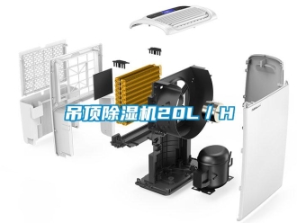 企業(yè)新聞吊頂除濕機(jī)20L／H