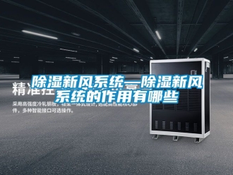 行業(yè)新聞除濕新風(fēng)系統(tǒng)—除濕新風(fēng)系統(tǒng)的作用有哪些