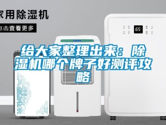 行業(yè)新聞給大家整理出來：除濕機(jī)哪個(gè)牌子好測(cè)評(píng)攻略