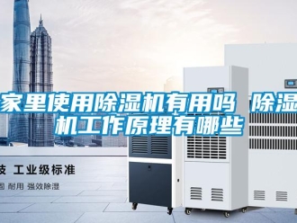 行業(yè)新聞家里使用除濕機(jī)有用嗎 除濕機(jī)工作原理有哪些
