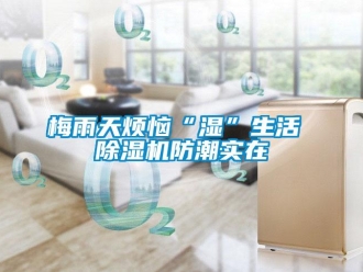 行業(yè)新聞梅雨天煩惱“濕”生活 除濕機(jī)防潮實在