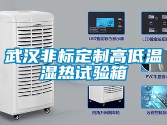 常見問題武漢非標定制高低溫濕熱試驗箱