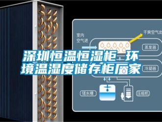 知識(shí)百科深圳恒溫恒濕柜 環(huán)境溫濕度儲(chǔ)存柜廠家