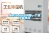 熱銷北京恒溫烘箱，廠家現(xiàn)貨供應(yīng)